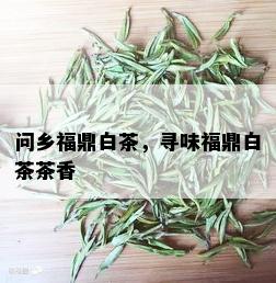 问乡福鼎白茶，寻味福鼎白茶茶香