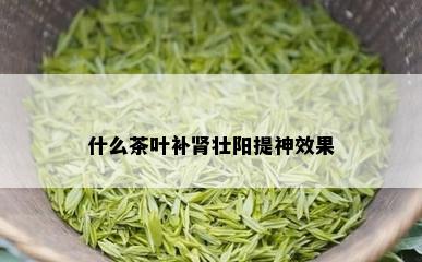 什么茶叶补肾壮阳提神效果