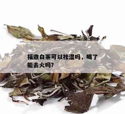 福鼎白茶可以祛湿吗，喝了能去火吗？