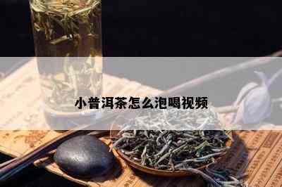 小普洱茶怎么泡喝视频