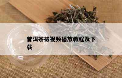 普洱茶拔视频播放教程及下载