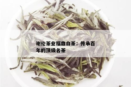 谢伦茶业福鼎白茶：传承百年的顶级名茶