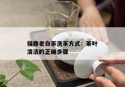 福鼎老白茶洗茶方式：茶叶清洁的正确步骤