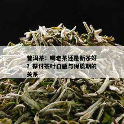 普洱茶：喝老茶还是新茶好？探讨茶叶口感与保质期的关系