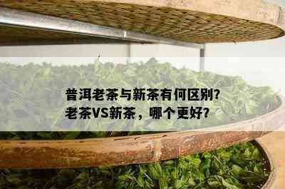 普洱老茶与新茶有何区别？老茶VS新茶，哪个更好？