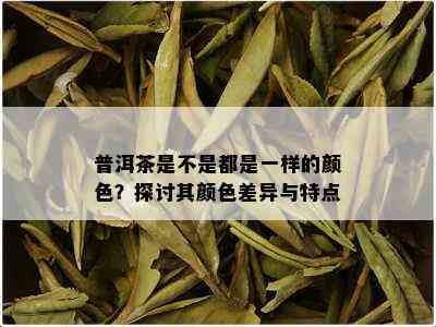 普洱茶是不是都是一样的颜色？探讨其颜色差异与特点