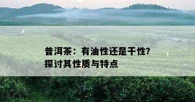 普洱茶：有油性还是干性？探讨其性质与特点