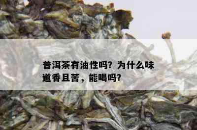 普洱茶有油性吗？为什么味道香且苦，能喝吗？