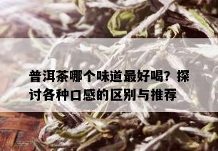 普洱茶哪个味道更好喝？探讨各种口感的区别与推荐