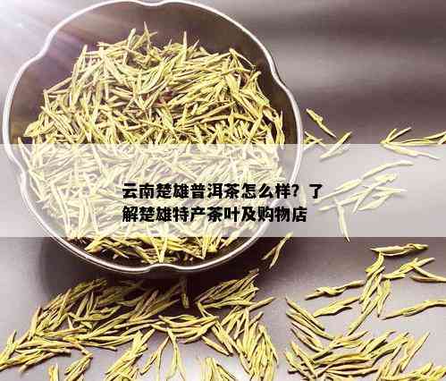 云南楚雄普洱茶怎么样？了解楚雄特产茶叶及购物店