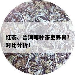 红茶、普洱哪种茶更养胃？对比分析！