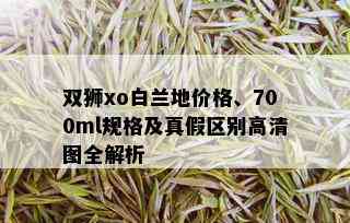 双狮xo白兰地价格、700ml规格及真假区别高清图全解析