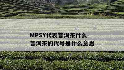 MPSY代表普洱茶什么-普洱茶的代号是什么意思