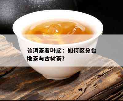 普洱茶看叶底：如何区分台地茶与古树茶？