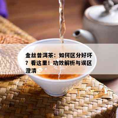 金丝普洱茶：如何区分好坏？看这里！功效解析与误区澄清