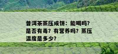 普洱茶蒸压成饼：能喝吗？是否有？有营养吗？蒸压温度是多少？