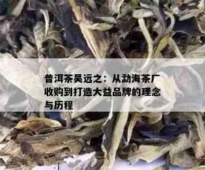 普洱茶吴远之：从勐海茶厂收购到打造大益品牌的理念与历程