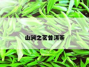 山涧之茗普洱茶