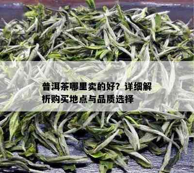 普洱茶哪里卖的好？详细解析购买地点与品质选择