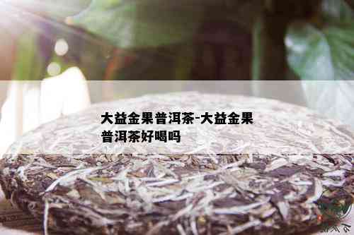 大益金果普洱茶-大益金果普洱茶好喝吗