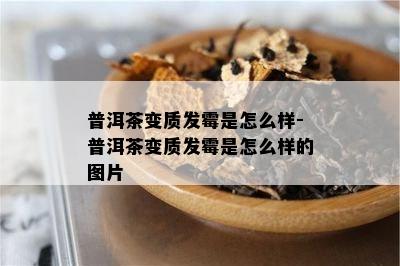 普洱茶变质发霉是怎么样-普洱茶变质发霉是怎么样的图片