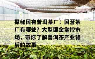 探秘国有普洱茶厂：国营茶厂有哪些？大型国企掌控市场，带你了解普洱茶产业背后的故事。