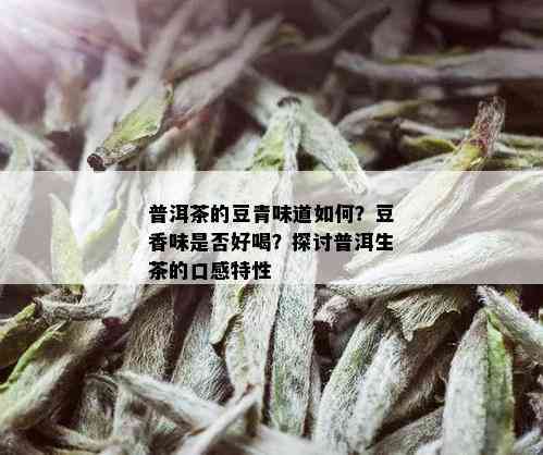 普洱茶的豆青味道如何？豆香味是否好喝？探讨普洱生茶的口感特性