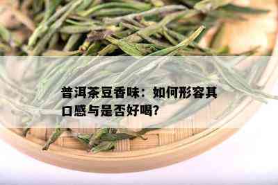 普洱茶豆香味：如何形容其口感与是否好喝？