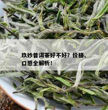 玖妙普洱茶好不好？价格、口感全解析！