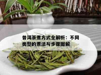 普洱茶煮方式全解析：不同类型的煮法与步骤图解