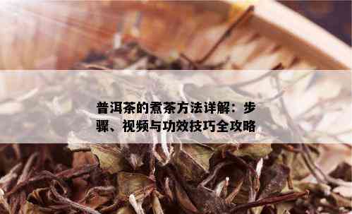 普洱茶的煮茶方法详解：步骤、视频与功效技巧全攻略