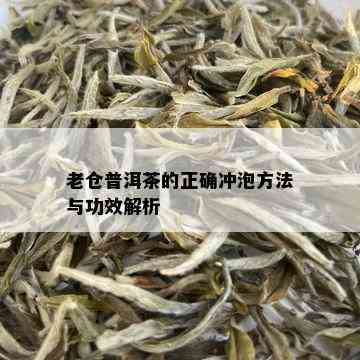 老仓普洱茶的正确冲泡方法与功效解析