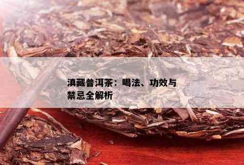 滇藏普洱茶：喝法、功效与禁忌全解析