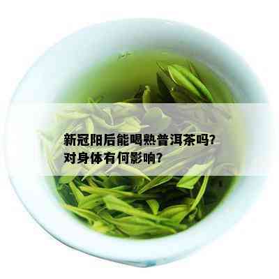 新冠阳后能喝熟普洱茶吗？对身体有何影响？