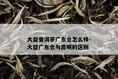 大益普洱茶广东仓怎么样-大益广东仓与昆明的区别