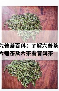 六普茶百科：了解六普茶、六铺茶及六茶春普洱茶