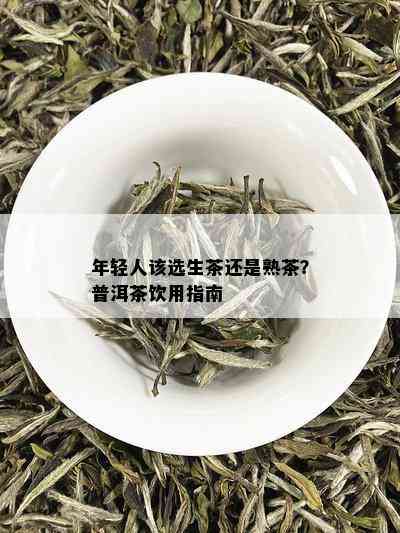 年轻人该选生茶还是熟茶？普洱茶饮用指南