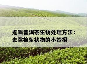 煮喝普洱茶生锈处理方法：去除棉絮状物的小妙招