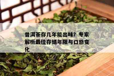 普洱茶存几年能出味？专家解析更佳存储年限与口感变化