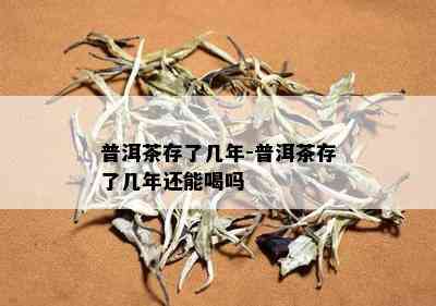 普洱茶存了几年-普洱茶存了几年还能喝吗