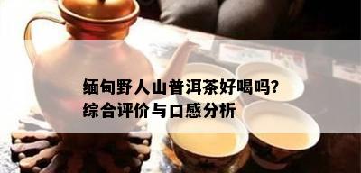 缅甸野人山普洱茶好喝吗？综合评价与口感分析