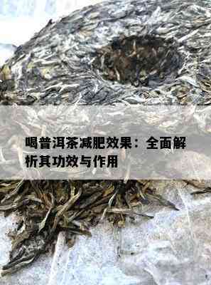 喝普洱茶减肥效果：全面解析其功效与作用