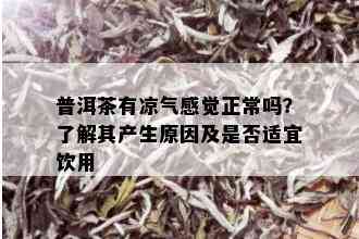 普洱茶有凉气感觉正常吗？了解其产生原因及是否适宜饮用