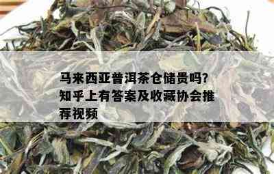 马来西亚普洱茶仓储贵吗？知乎上有答案及收藏协会推荐视频