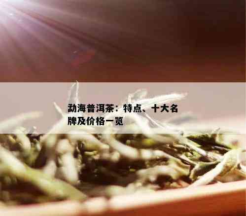 勐海普洱茶：特点、十大名牌及价格一览