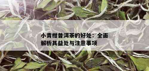 小青柑普洱茶的好处：全面解析其益处与注意事项