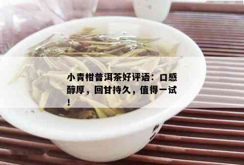 小青柑普洱茶好评语：口感醇厚，回甘持久，值得一试！