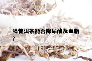 喝普洱茶能否降尿酸及血脂？