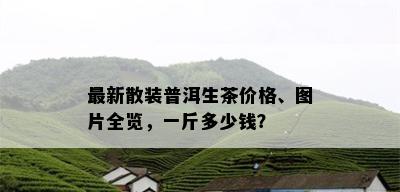 最新散装普洱生茶价格、图片全览，一斤多少钱？