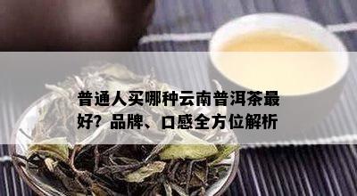 普通人买哪种云南普洱茶更好？品牌、口感全方位解析